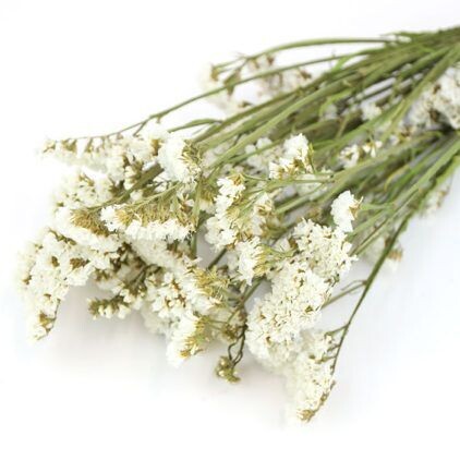 White Statice Bunch