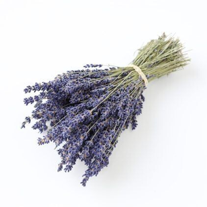 Lavender Bunch