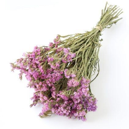 Pink Statice Bunch