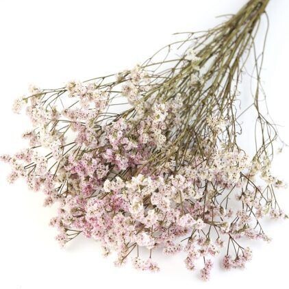 Pink Limonium Bunch