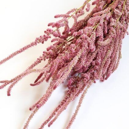 Pink Statice Suworowii Bunch