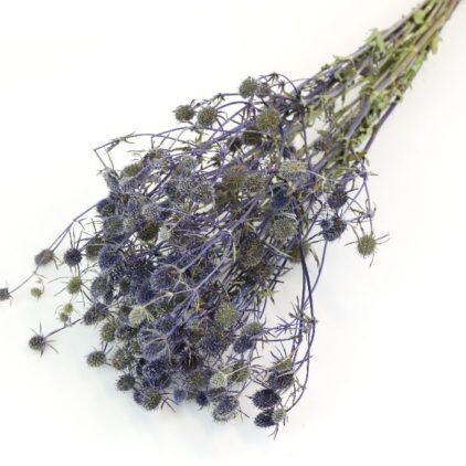 Blue Thistle Bunch (Dyed)