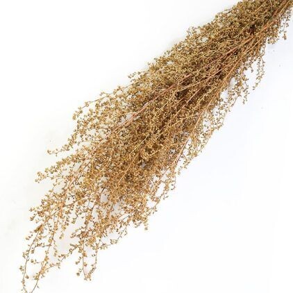 Natural Lepidium Bunch