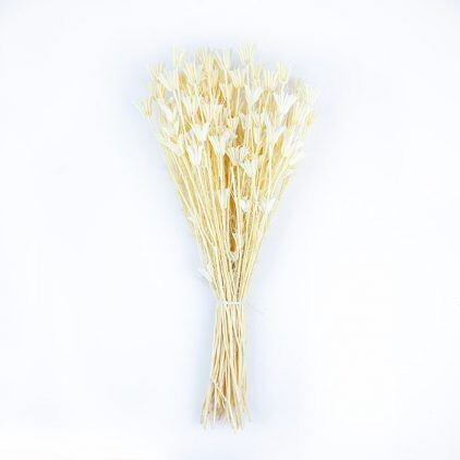 Bleached Nigella Orientalis Bunch