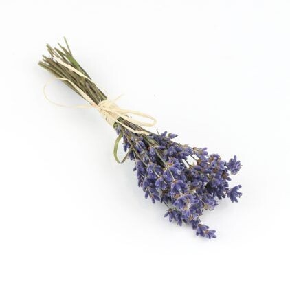 Mini Lavender Bundles (Pack of 25)