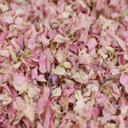 Light Pink Delphinium Petal Kraft Sachet (Pack of 25)