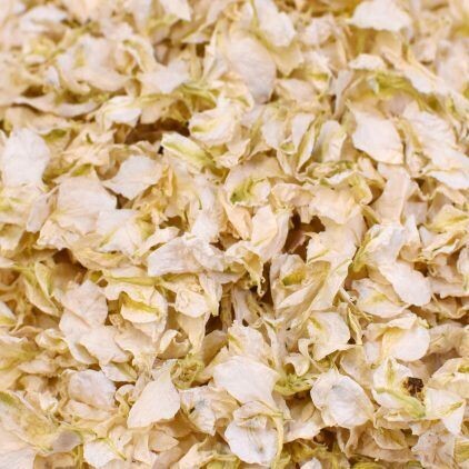 Ivory Delphinium Petal Kraft Sachet (Pack of 25)