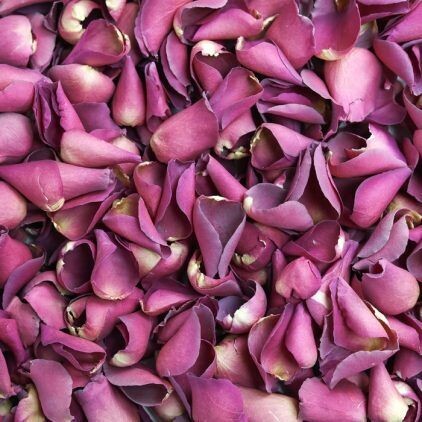 Hot Pink Rose Petal Cone Tray (24 Cones)
