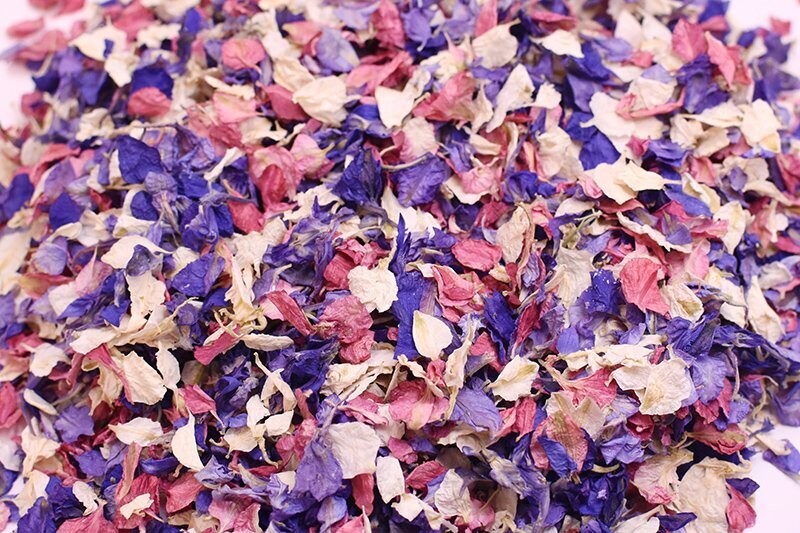 Kaleidoscope Mixed Petal Cone Tray (24 Cones)