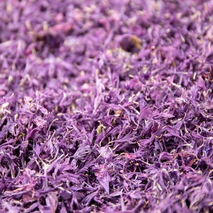 Lilac Cornflower Petal Cone Tray (24 Cones)