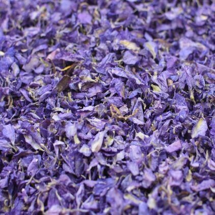 Purple Delphinium Petal Cone Tray (24 Cones)