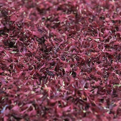 Burgundy Cornflower Petal Cone Tray (24 Cones)