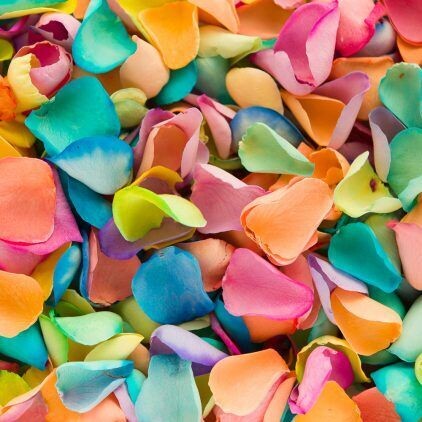 Rainbow Mix (Dyed) Rose Petal Cone Tray (24 Cones)