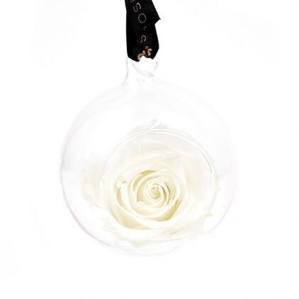Preserved White Rose Bauble Decoration