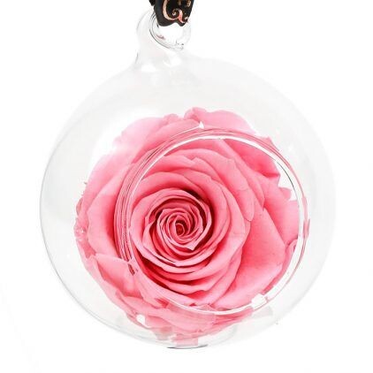 Preserved Pink Rose Bauble Decoration