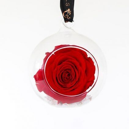 Preserved Red Rose Bauble Decoration
