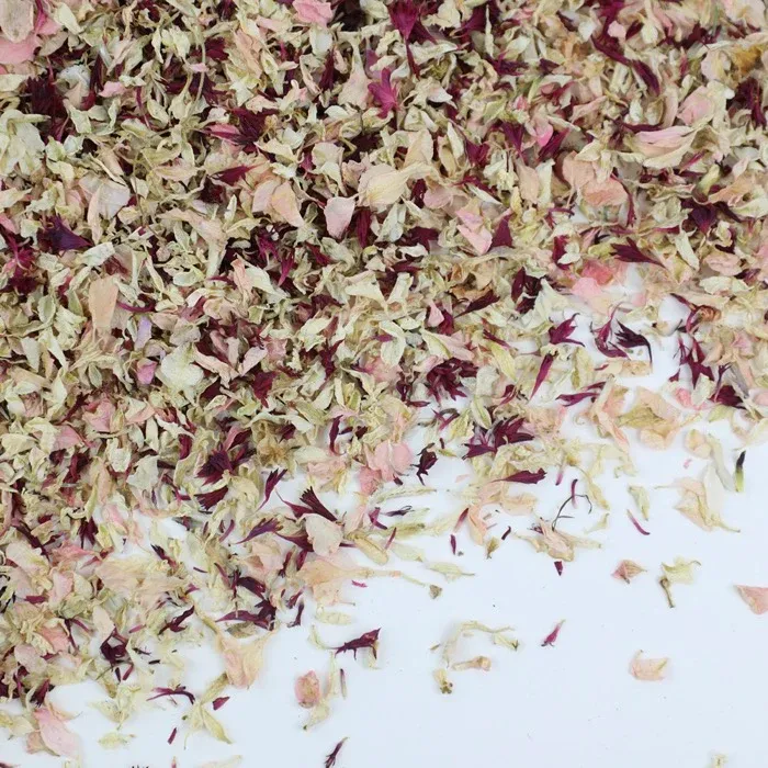 Burgundy and Pink Petals