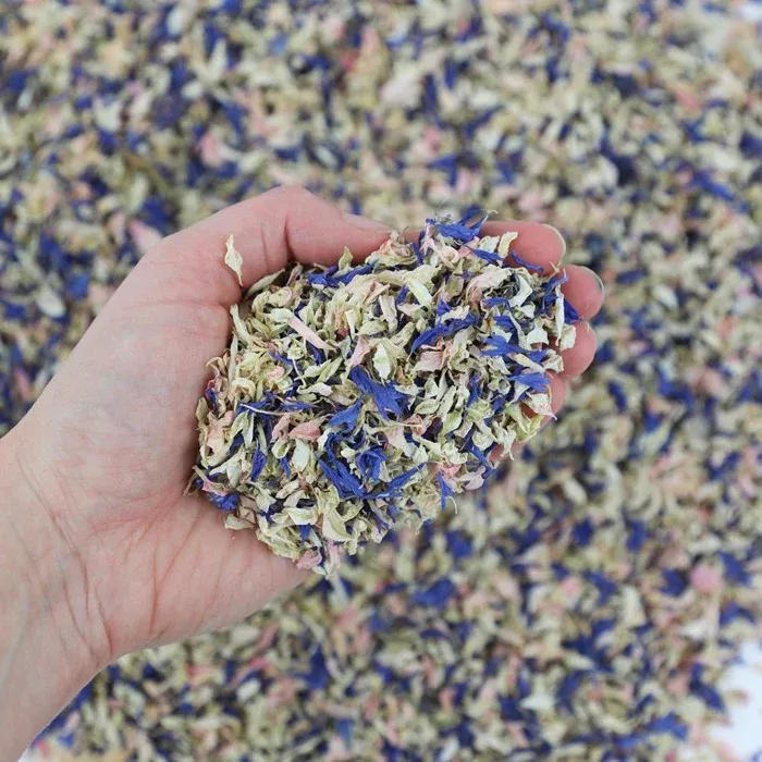 Navy and Pink Petals