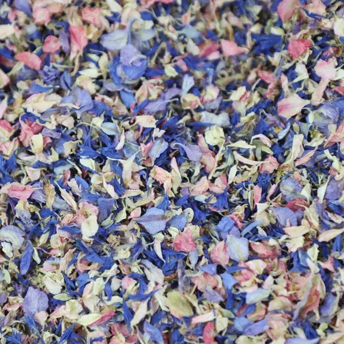 Purple, Pink and Ivory Petals