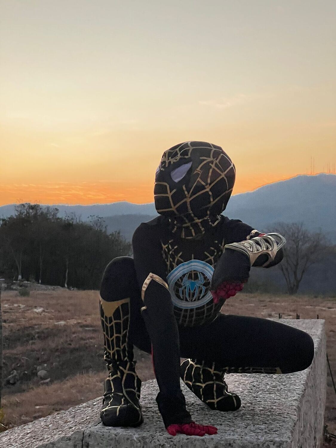 Spiderman No Way Home