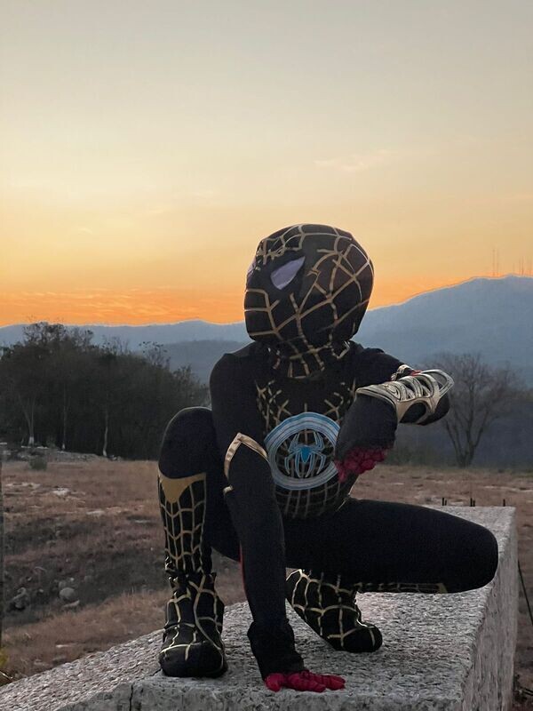 Spiderman No Way Home