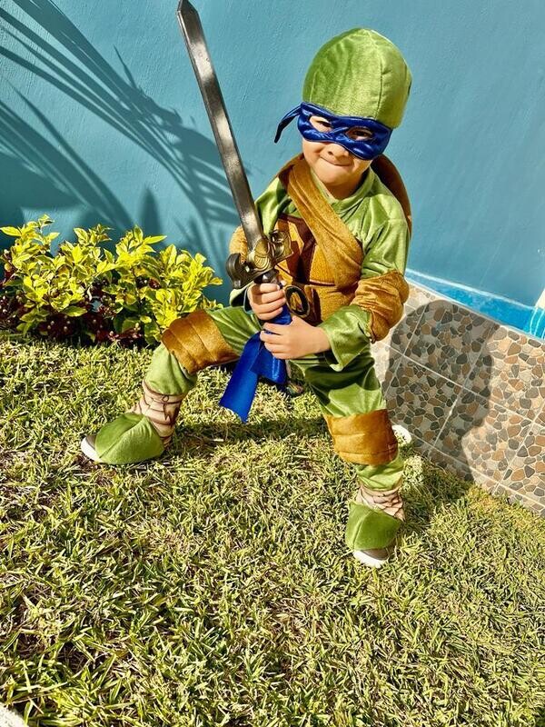 Tortuga Ninja