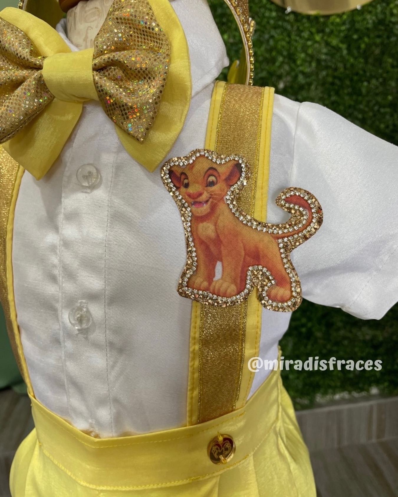 Conjunto Rey León