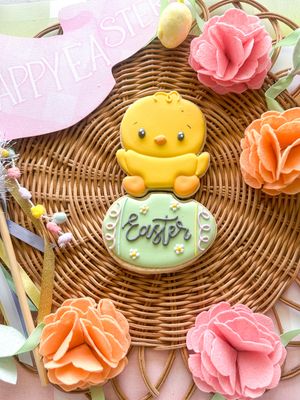 Personalized Hatching Chick Two Piece