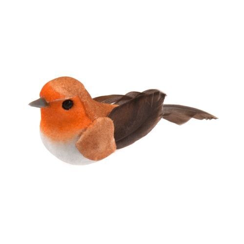 Feathered Birds