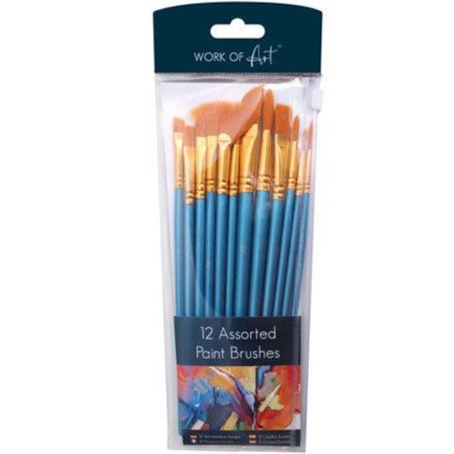 12 Assorted Paint Brushes