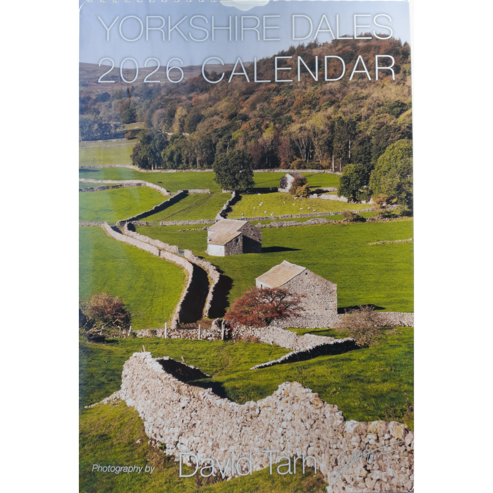 2026 Calendar by David Tarn