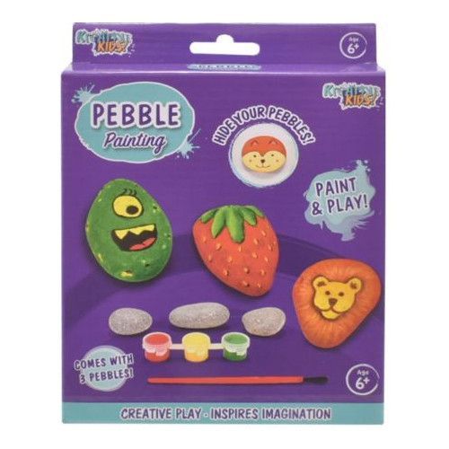 Pebble Painting Kit