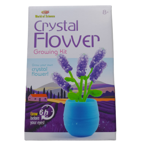 Crystal Flower Growing Kit