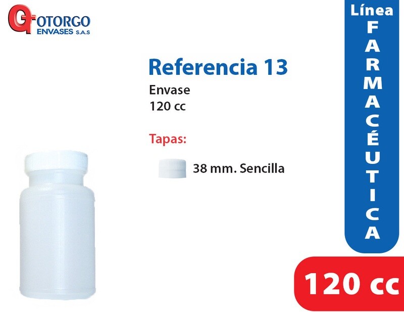 Envasex13