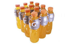 Gatorade Mandarina 500 ml x 12