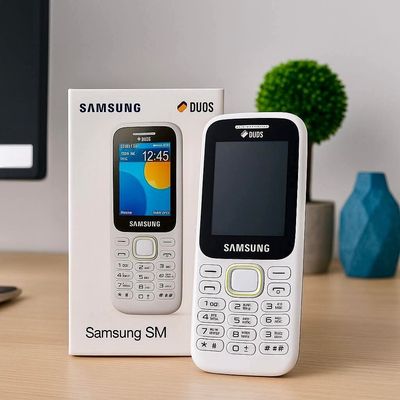 Samsung B310