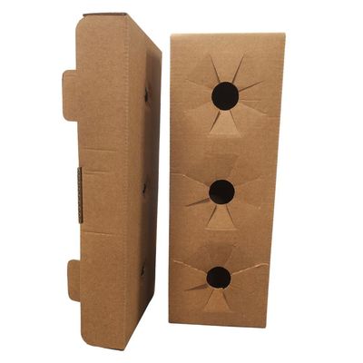 SCATOLA 6 BOTTIGLIE CON PROTEZIONI INTERNE