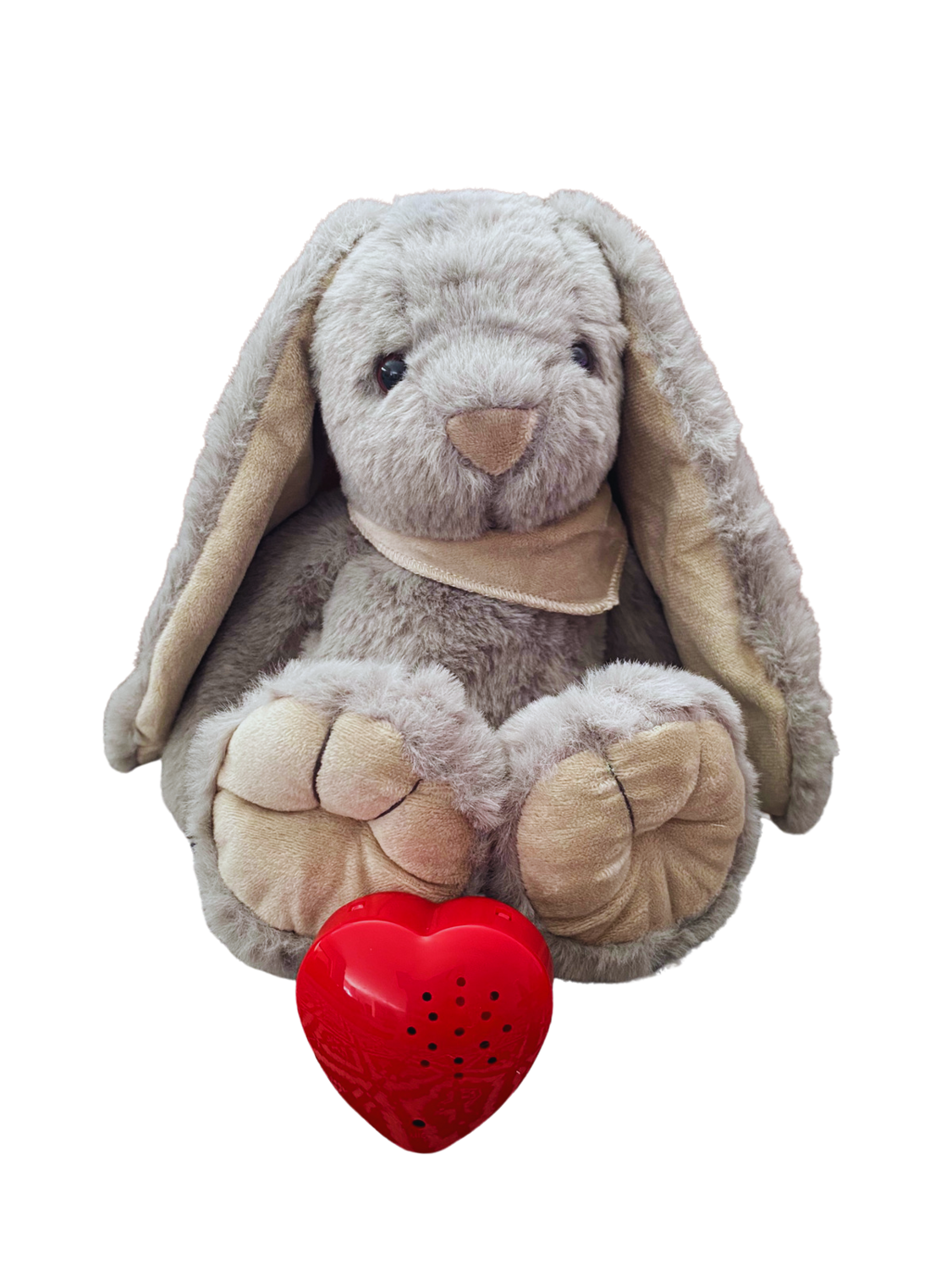 Grey Clop bunny