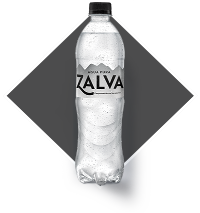 Agua salva - embase pet de 600ml x 12n unds