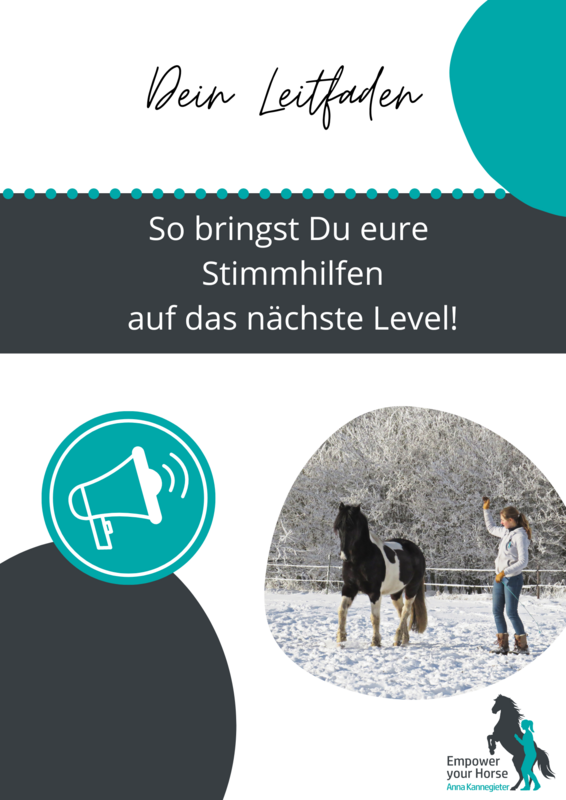 Stimmkommandos Leitfaden
