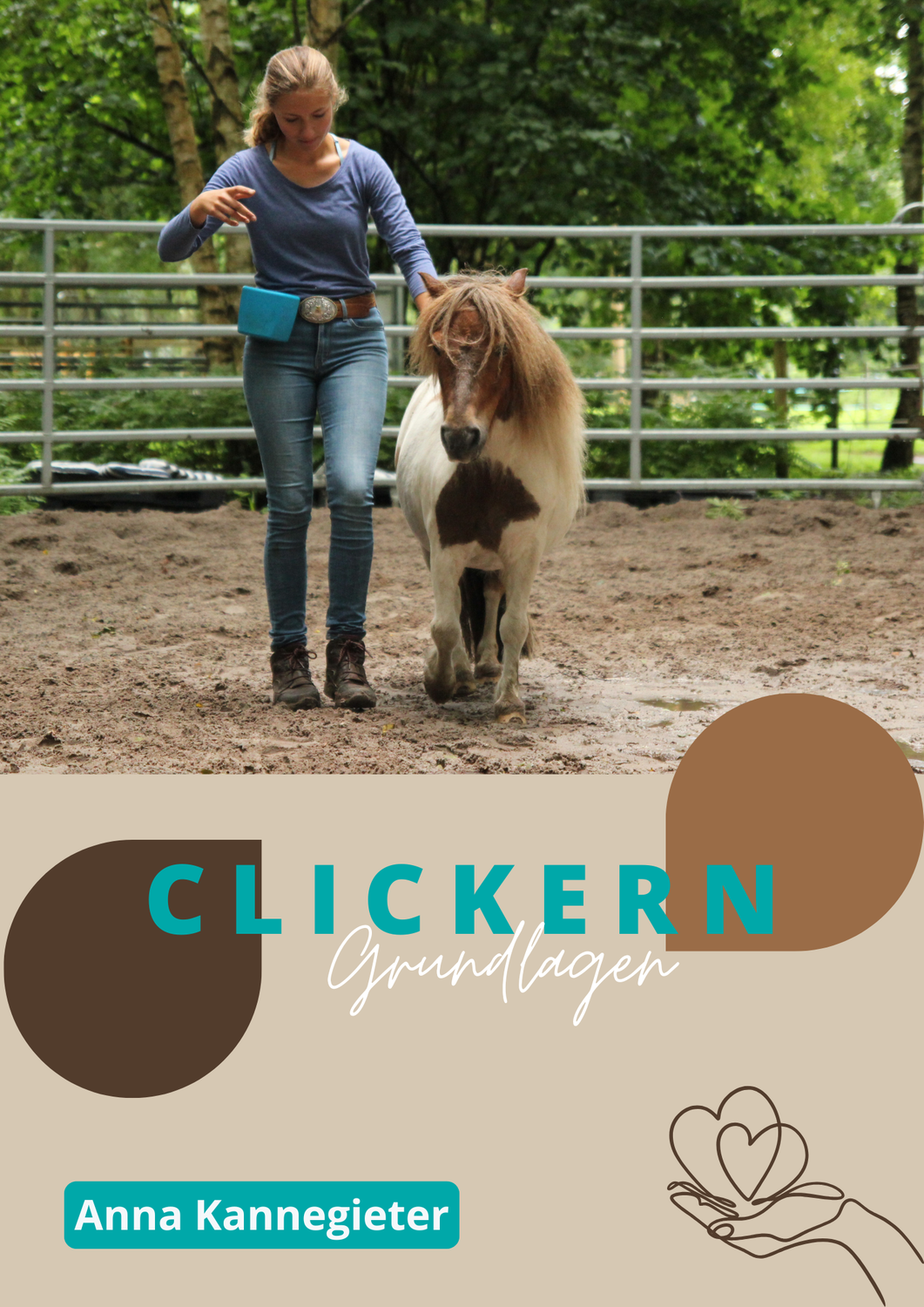 Clickern - Die Grundlagen im Leitfaden