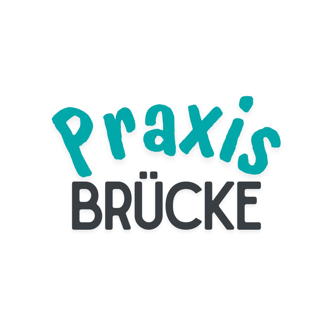 Praxisbrücke - Onlinebegleitung zum Buch
