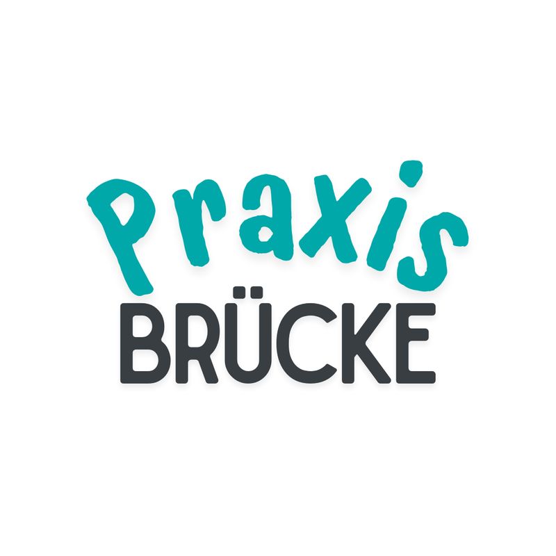 Praxisbrücke - Onlinebegleitung zum Buch
