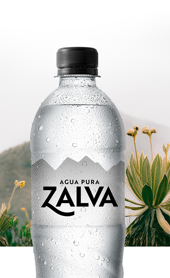 AGUA ZALVA