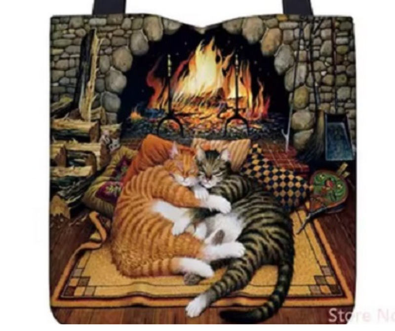 CAT BAG BY THE FIRE