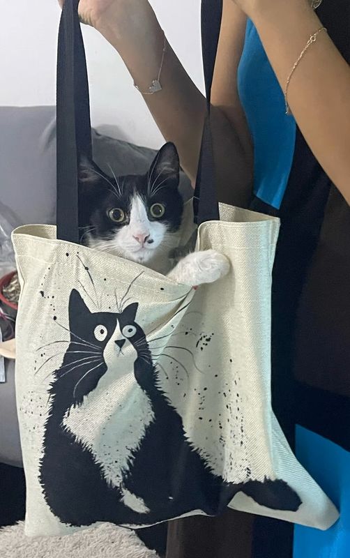 CAT BAG BLACK AND WHITE