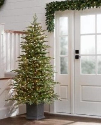 6.5 Ft Winwood Grand Fir Potted Pre-lit Artificial Tree