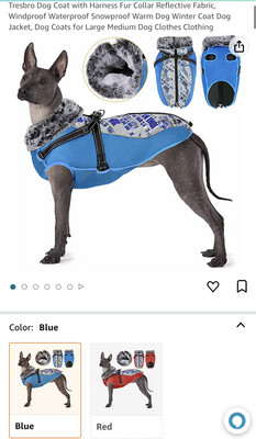 Dog Coat Blue
