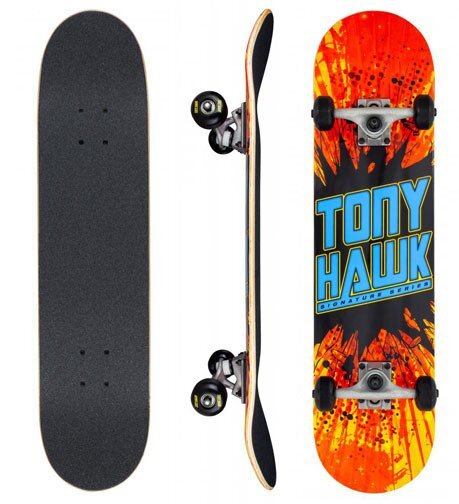 Komplettboards-2: Tony Hawk-Boards + Schutzset + Tool + Buch