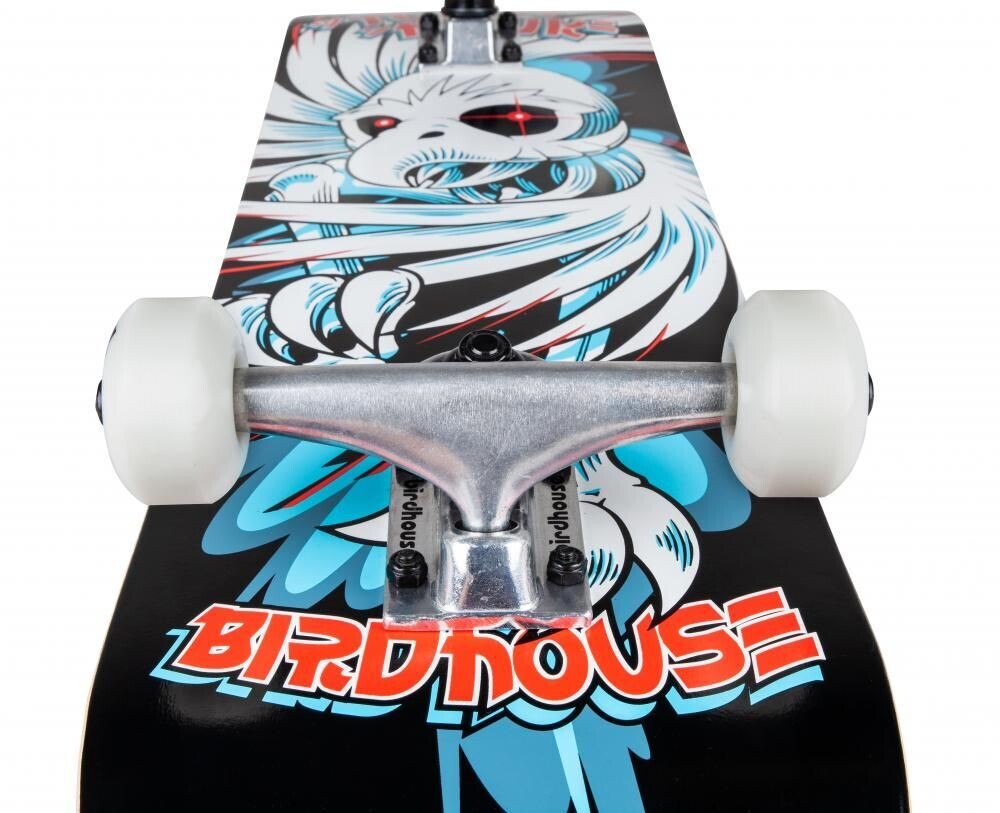 Birdhouse "Hawk Spiral" 7.75" Komplettboard